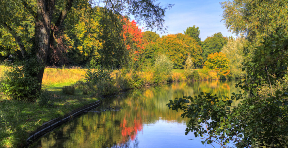 Scenic river and lush greenery in Fairlands Valley Park, Stevenage