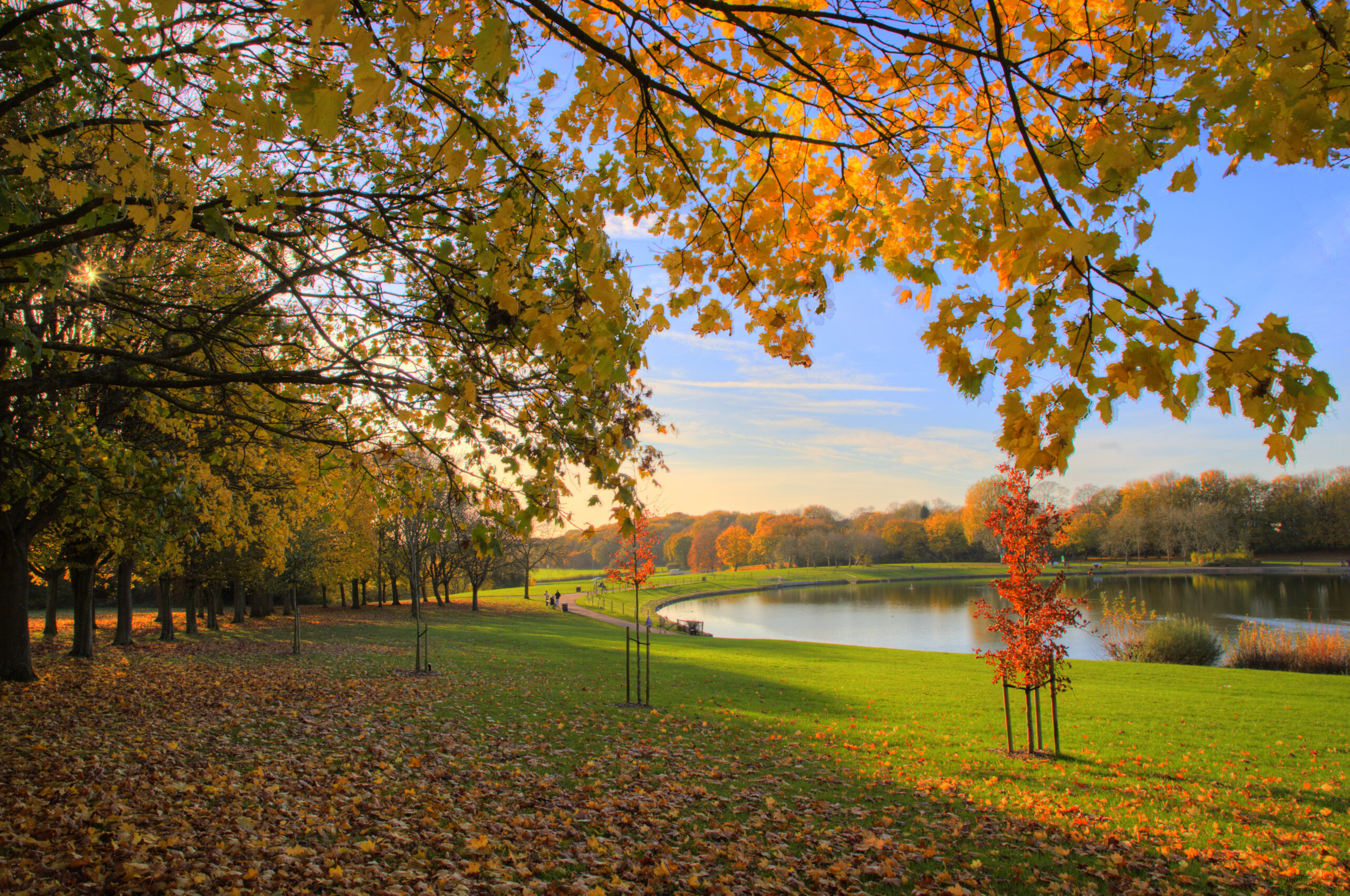 6. IMG_6225_6_7_Enhancer