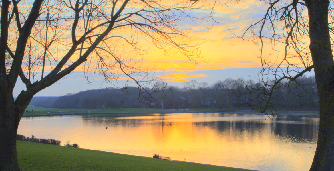 River flowing through natural greenery in Fairlands Valley Park, Stevenage