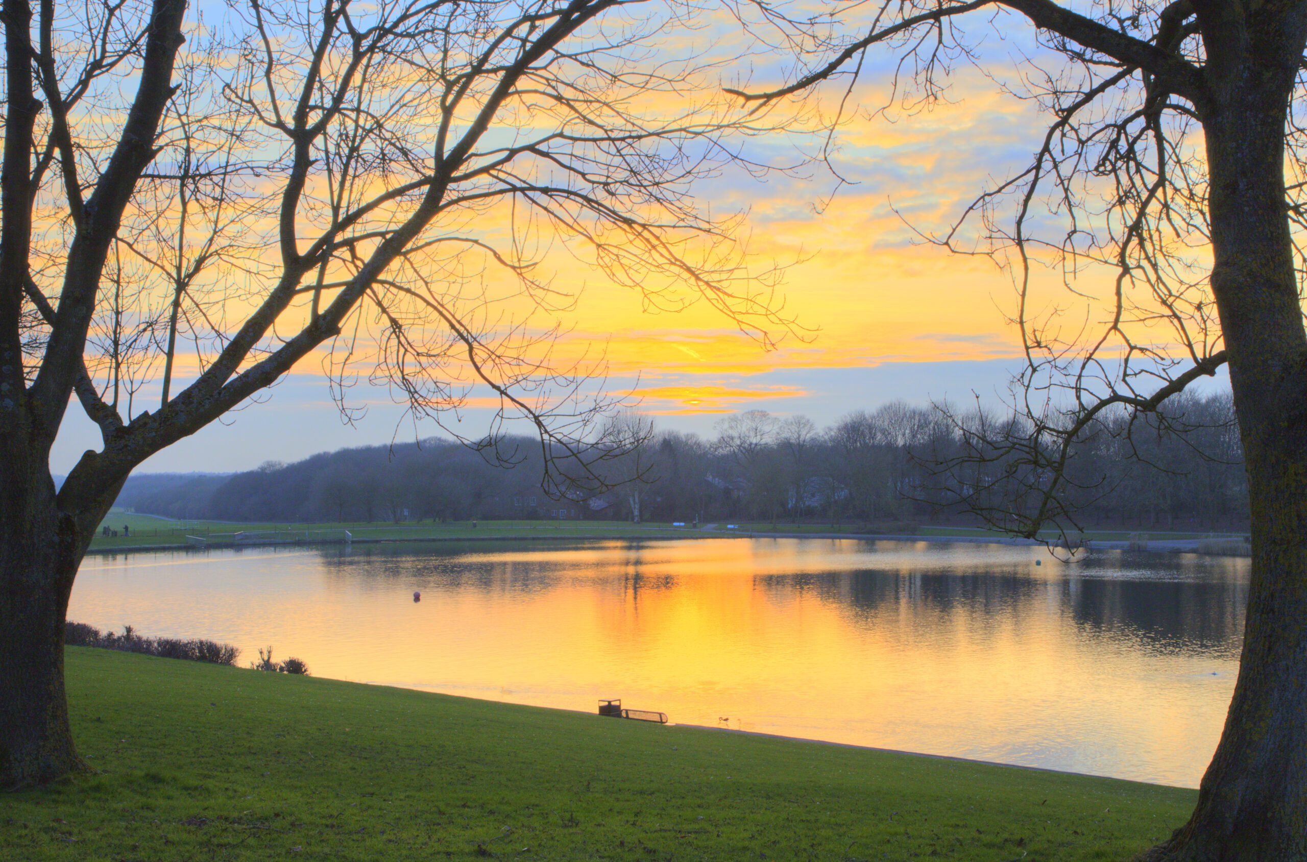 7. IMG_6915_6_7_Enhancer